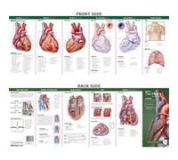 Anatomical Chart Company's Illustrated Pocket Anatomy: Anatomy of The Heart Study Guide
