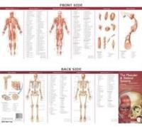 Anatomical Chart Company's Illustrated Pocket Anatomy: The Muscular & Skeletal Systems Study Guide