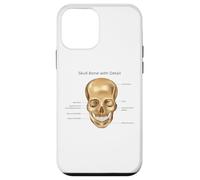 Anatomie Amusante : tête, os, Anatomie Humaine, enseignement des Sciences Coque pour iPhone 12 Mini
