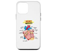 Anatomie Coeur Humain Cardiologues Médecin Anatomique Médecin Coque pour iPhone 12 Mini