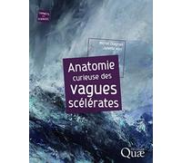Anatomie curieuse des vagues scélérates