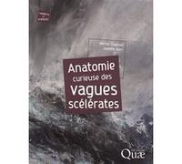 Anatomie curieuse des vagues scélérates