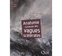 Anatomie curieuse des vagues scélérates - Michel Olagnon - Quae - broché - Livre