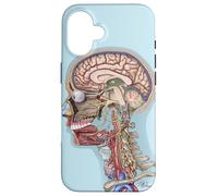 Anatomie de la tête et du Cou Coque pour iPhone 16