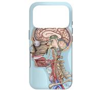 Anatomie de la tête et du Cou Coque pour iPhone 17 Pro