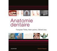 Anatomie dentaire