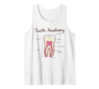 Anatomie Dentaire Assistant Dentaire Hygiéniste Dentiste Débardeur