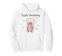 Anatomie Dentaire Assistant Dentaire Hygiéniste Dentiste Sweat à Capuche