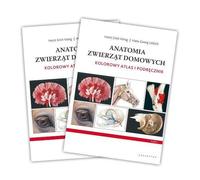 Anatomie des animaux domestiques.
