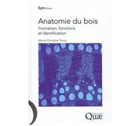 Anatomie Du Bois - Formation, Fonctions Et Identification