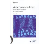 Anatomie du bois: Formation, fonctions et identification.