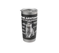 Anatomie du British Shorthair | Humour de chat disant | BKH Gobelet isotherme en acier inoxydable double paroi