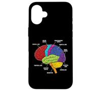 Anatomie du Cerveau Humain Neuroscience Labeled Cortex Lobes Coque pour iPhone 16 Plus