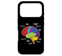 Anatomie du Cerveau Humain Neuroscience Labeled Cortex Lobes Coque pour iPhone 17 Pro