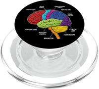Anatomie du Cerveau Humain Neuroscience Labeled Cortex Lobes PopSockets PopGrip pour MagSafe