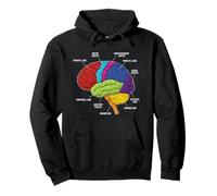 Anatomie du Cerveau Humain Neuroscience Labeled Cortex Lobes Sweat à Capuche