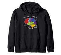 Anatomie du Cerveau Humain Neuroscience Labeled Cortex Lobes Sweat à Capuche