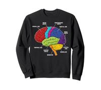Anatomie du Cerveau Humain Neuroscience Labeled Cortex Lobes Sweatshirt