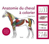 Anatomie Du Cheval À Colorier - Une Aide À L'apprentissage De L'anatomie Du Cheval