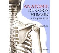 Anatomie du corps humain - Le squelette