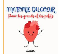 Anatomie du cœur pour les grands et les petits