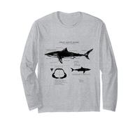 Anatomie du Grand Requin Blanc Manche Longue