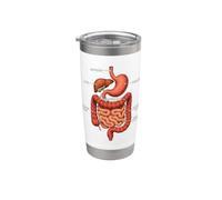 Anatomie du système digestif Gastroentérologie Médical Gobelet isotherme en acier inoxydable double paroi