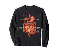 Anatomie du système digestif Gastroentérologie Médical Sweatshirt