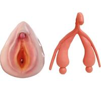Anatomie du système reproducteur, modèle combiné vulve/clitoris en 2 parties, modèle d'utérus humain, for l'enseignement et la pratique de l'anatomie du système reproducteur