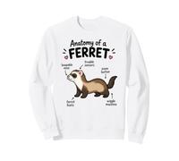 Anatomie d'un Furet Schéma Amusant pour Animaux De Compagnie Sweatshirt