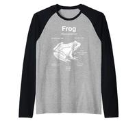 Anatomie d'une Grenouille drôle Diagramme amphibien Manche Raglan