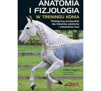 Anatomie et physiologie dans l'entraînement des chevaux