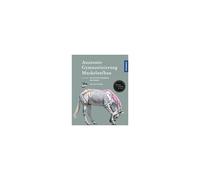 Anatomie, Gymnastizierung, Muskelaufbau