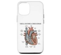 Anatomie Humaine Diagramme Cardiaque Système cardiovasculaire Coque pour iPhone 12/12 Pro