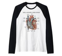 Anatomie Humaine Diagramme Cardiaque Système cardiovasculaire Manche Raglan