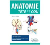 Anatomie Tête Et Cou