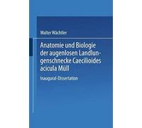 Anatomie Und Biologie Der Augenlosen Landlungenschnecke Caecilioides Acicula Müll