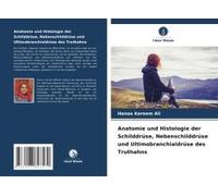 Anatomie Und Histologie Der Schilddrüse, Nebenschilddrüse Und Ultimobranchialdrüse Des Truthahns