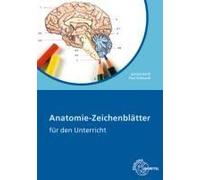 Anatomie Zeichenblätter