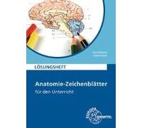 Anatomie Zeichenblätter. Lösungsheft