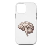 Anatomique Cerveau Neurologie Anatomie Humaine Étudiant Médical Coque pour iPhone 12 Mini