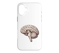 Anatomique Cerveau Neurologie Anatomie Humaine Étudiant Médical Coque pour iPhone 16 Plus