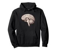 Anatomique Cerveau Neurologie Anatomie Humaine Étudiant Médical Sweat à Capuche
