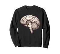 Anatomique Cerveau Neurologie Anatomie Humaine Étudiant Médical Sweatshirt