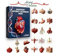Anatomy Advent Calendar 2025,24 Days Human Organ Set 2d Acrylic Human Body Ornaments, Mini Organ Models Themed Set for Doctors and Anatomy Lovers, Christmas Decor (1 pc)