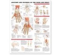 Anatomy and Injuries of the Hand and Wrist Anatomical Chart