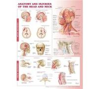 Anatomy and Injuries of the Head and Neck Anatomical Chart Anatomical Chart Company, Acc (Auteur)