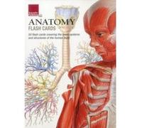 Anatomy Flash Cards - [Version Originale] Inconnu (Auteur)