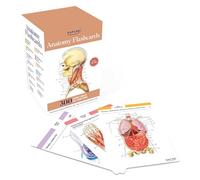 Anatomy Flashcards: 300 Flashcards with Anatomically Precise Drawings and Exhaustive Descriptions