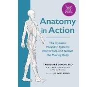Anatomy In Action